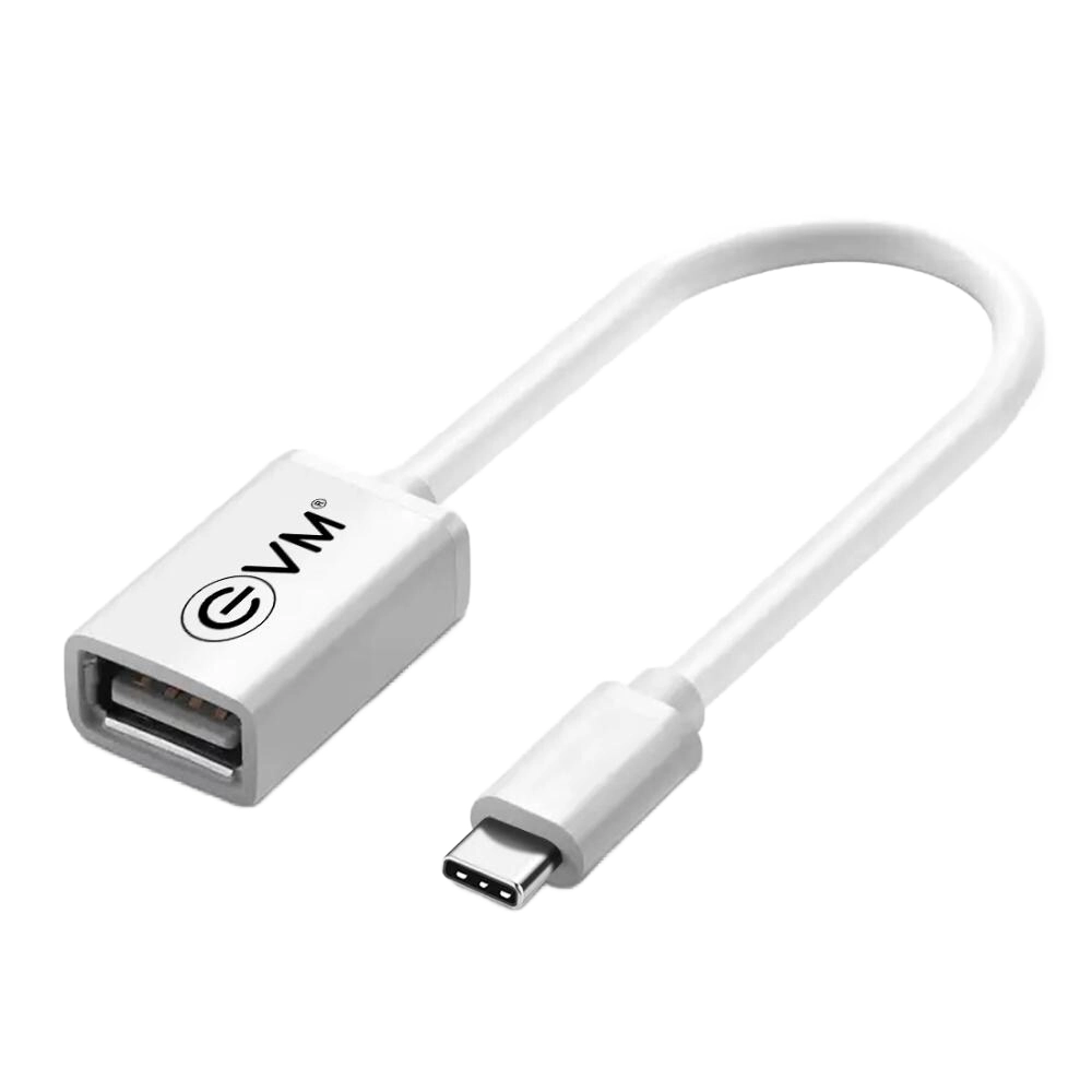 EVM Type C OTG Cable USB 2.0 (OTG-04) Silver view 2